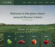 BeFarm 2